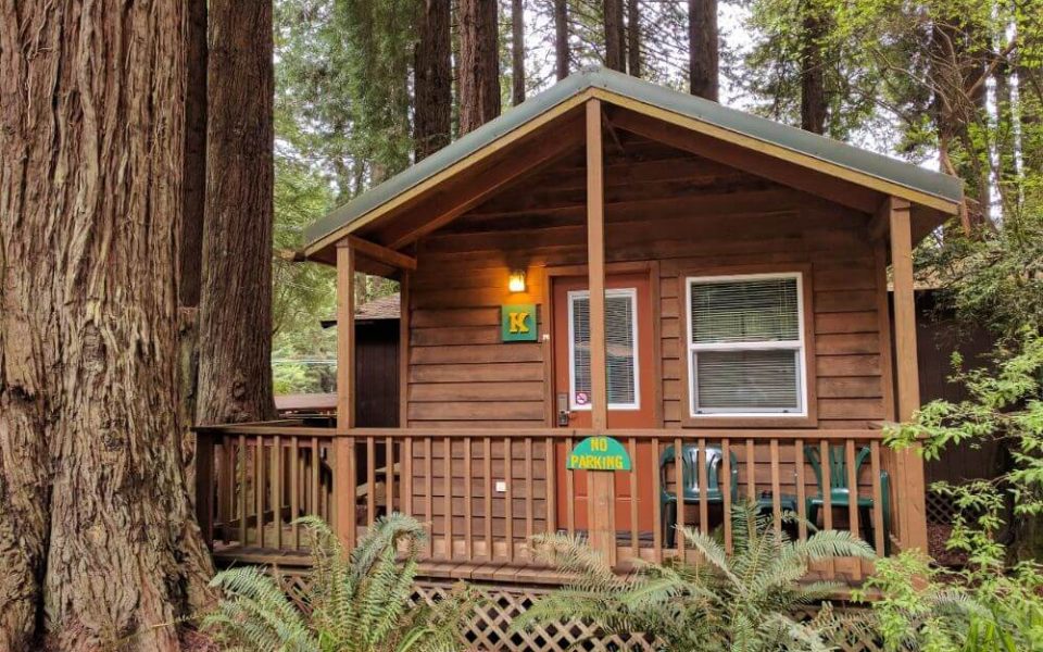 Emerald Forest Cabins & RV - cabins