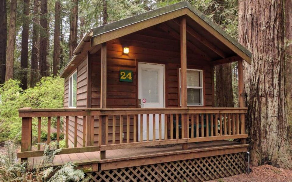 Emerald Forest Cabins & RV - cabins