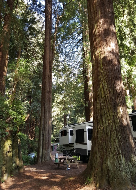 Good Sam RV Park In Trinidad Northern California