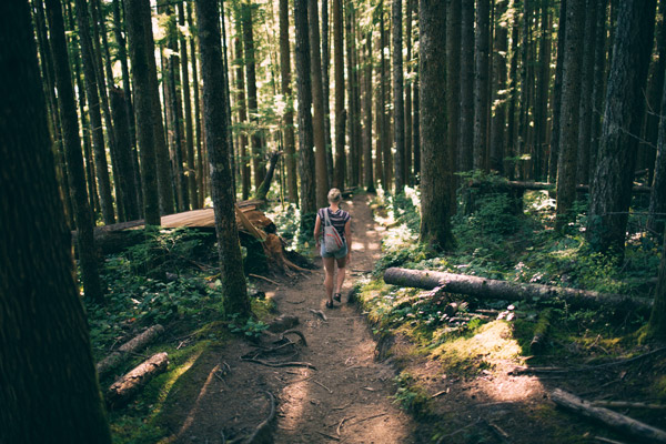 Hiking Trinidad CA | Hike From Forest to Shoreline