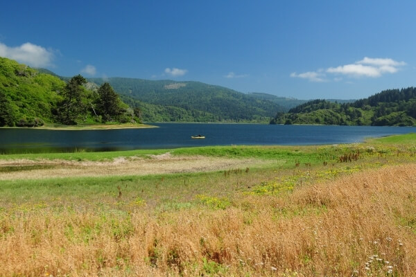 Humboldt Lagoons State Park | Wetlands