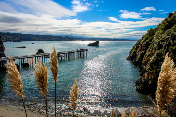 Trinidad Pier | Fishing